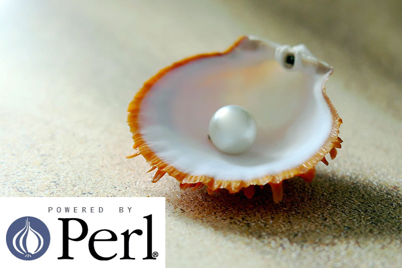 Powered By Perl Pearl Powered By Perl Pearl