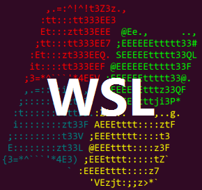 Windows Subsystem For Linux Windows Subsystem For Linux
